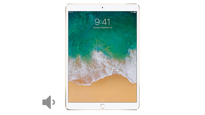 iPad Pro 10.5 Volume Button