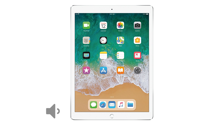 iPad Pro 12.9 2nd Gen Volume Button