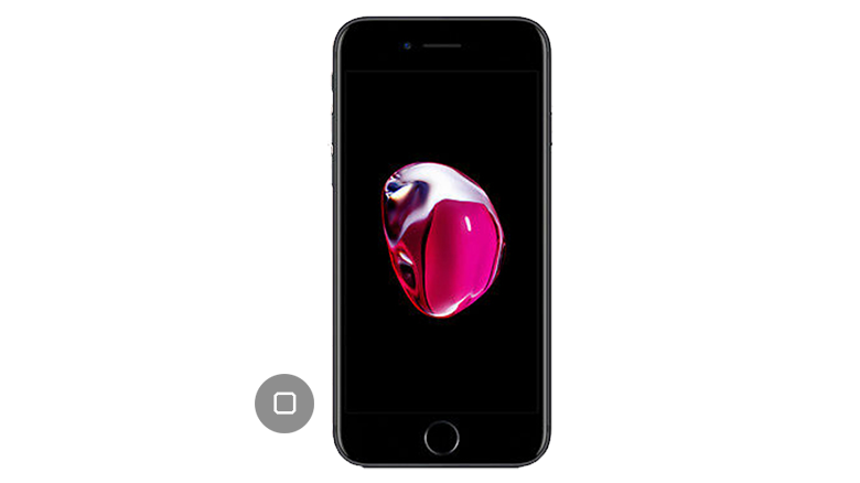 iPhone 7 Home Button