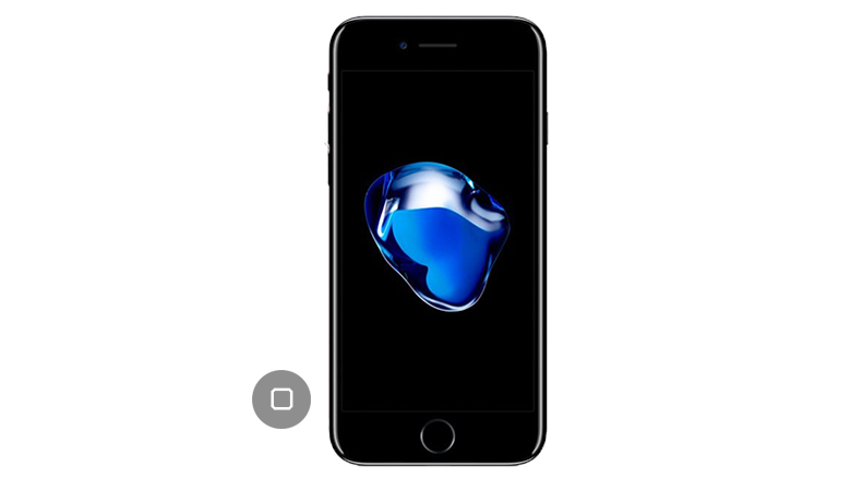 iPhone 7 Plus Home Button