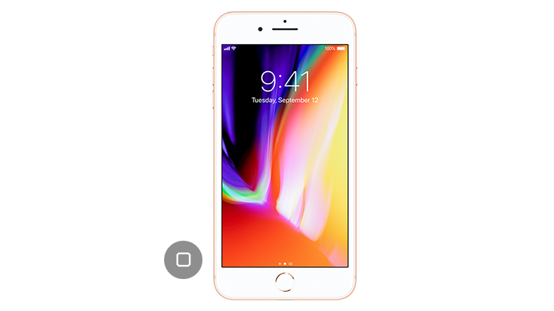 iPhone 8 Plus Home Button