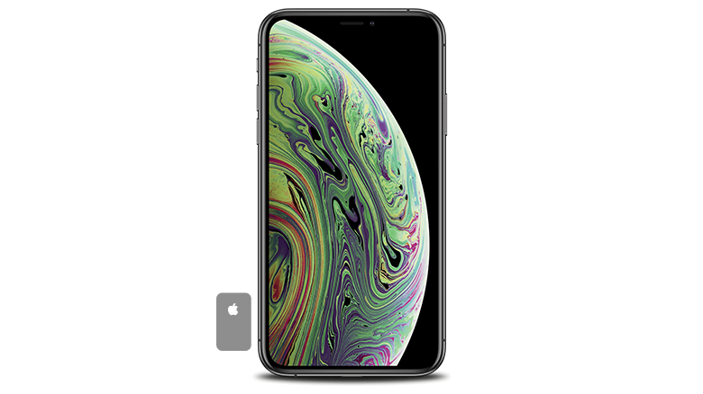 iPhone Xs Max Back Glass and Housing